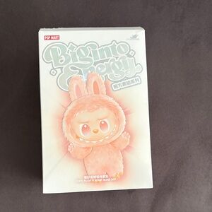 Pop Mart Bigtop Energy Blind Box.  Opened box.  Love Labubu.